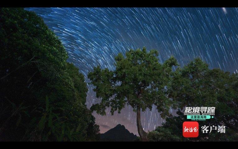 熊猫安安冒险记