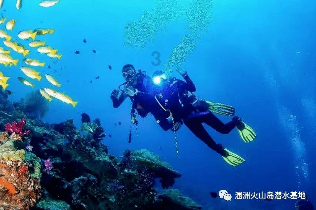 霍比特人救援