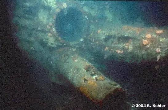 球球大作战下载最新版