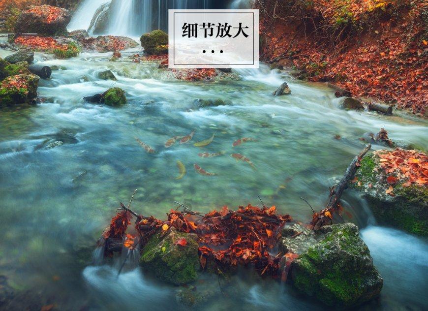 寒风中的守护者——交警蜀黍在行动