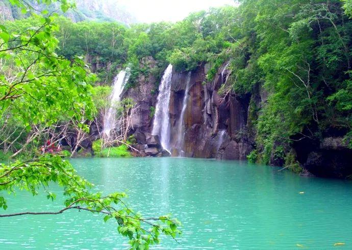 虫虫助手下载