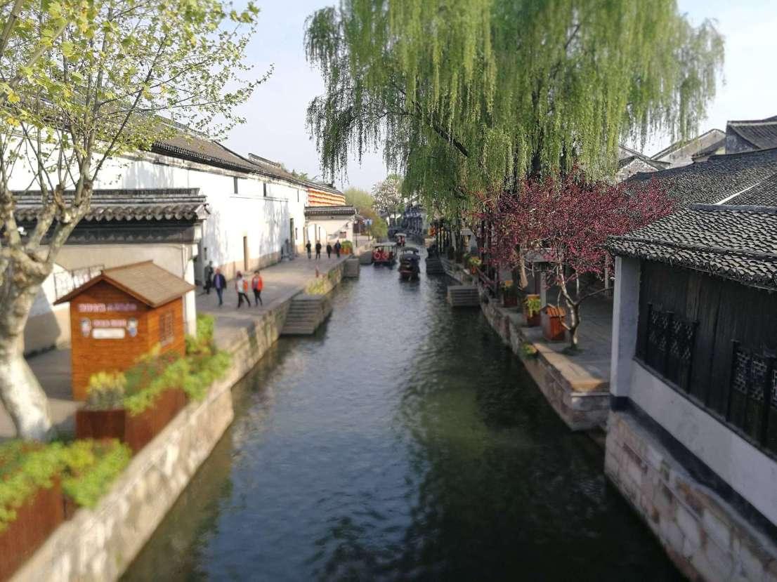 爱丽丝和闺蜜